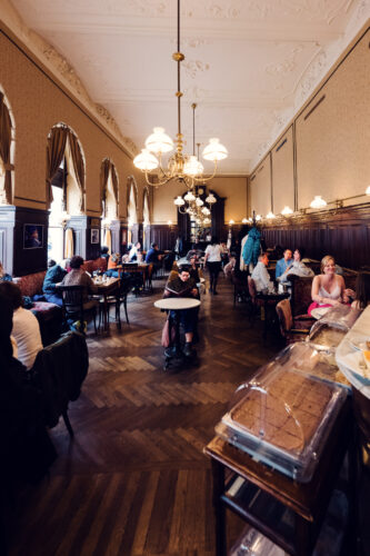 Traditional cake display at Café Sperl presenting Viennese pastry excellence.