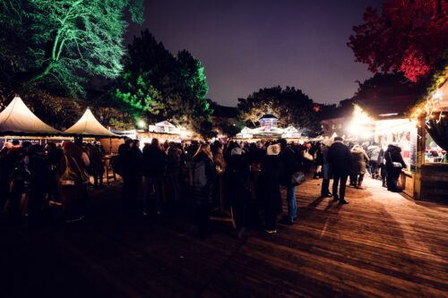 Crowd of visitors at Christmas village stalls in Altes AKH.