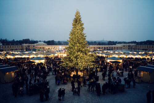 Christmas tree with lights at Schönbrunn Palace (Schloss Schönbrunn) Christmas market.