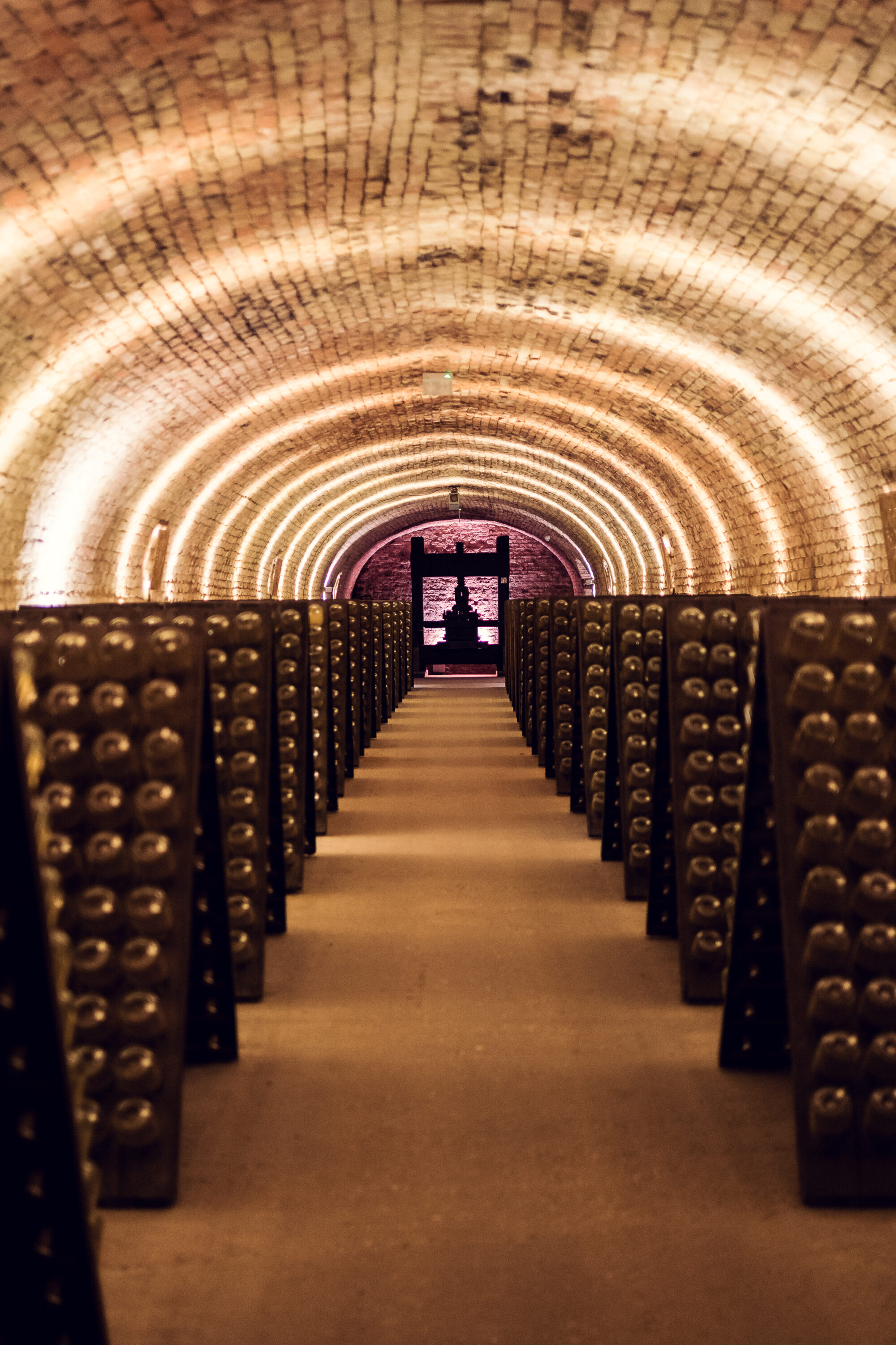 Portrait-format view of the illuminated barrel-vaulted cellar tunnel with riddling racks at Schlumberger Kellerwelten.